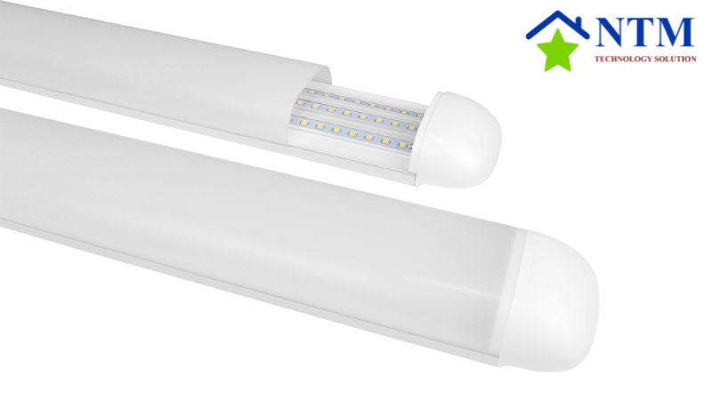Những dạng đèn LED phổ biến hiện nay
