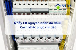 Nhảy CB nguyên nhân do đâu